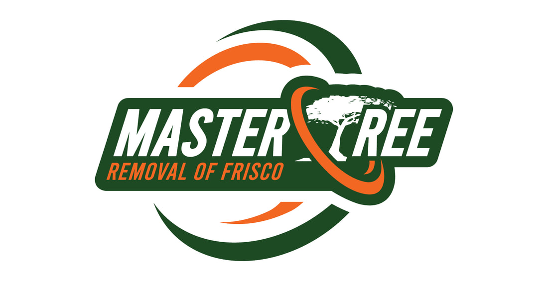 Master Tree Removal of Frisco 
